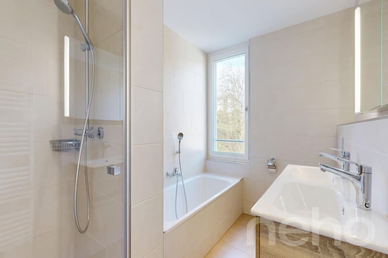 Modern 4.5-room attic apartment with basement and large attic space (9)