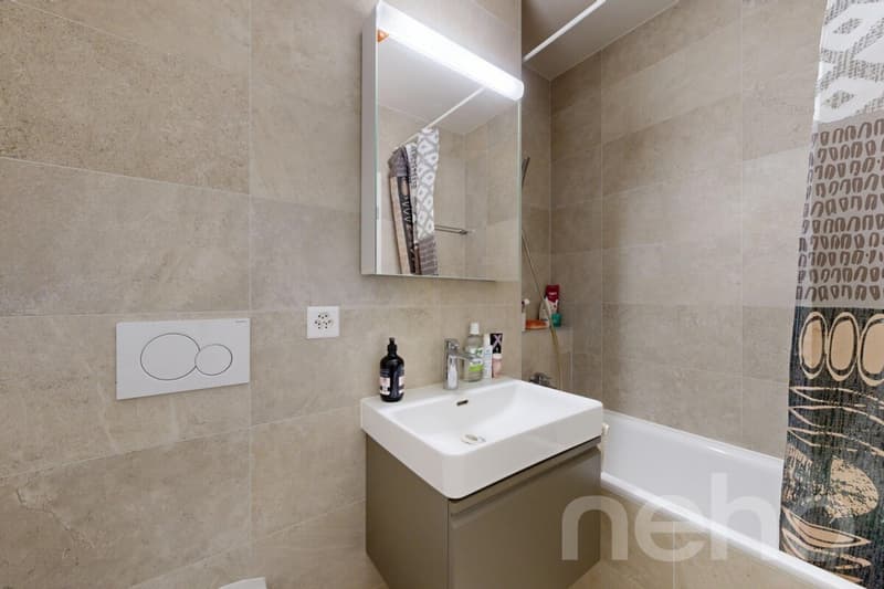 3 rooms recent and bright in the heart of Grand-Saconnex (10)