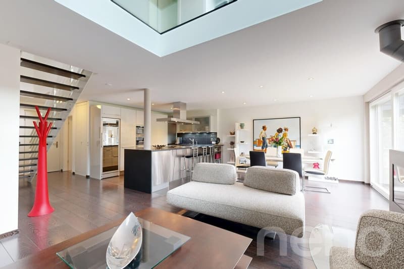 Magnificent duplex with terrace and private garden (5)
