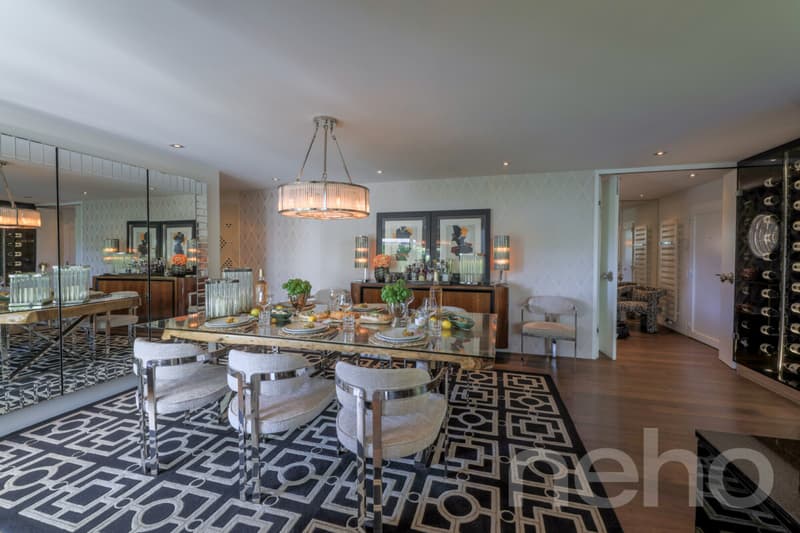 Exclusive terrace apartment with panoramic views (5)