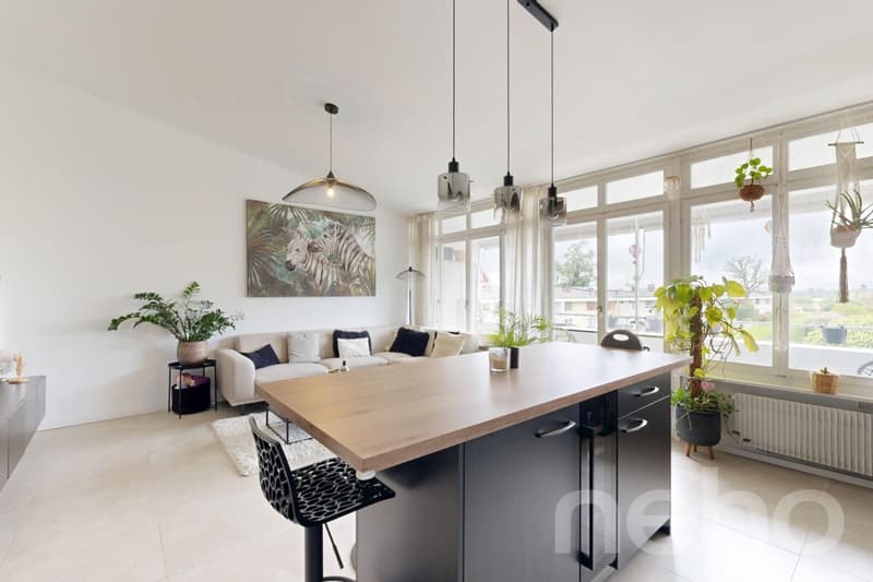 Beautiful 3.5-room attic in Borex completely renovated (2)