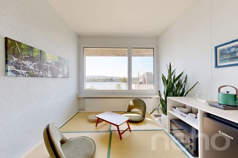 Renovated Row House on Lake Biel with Garden Lawn (9)