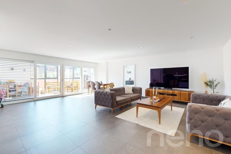Large 5.5-room apartment of 200 m² + Terraces ? Ideal for Investors or Two-family House (2)