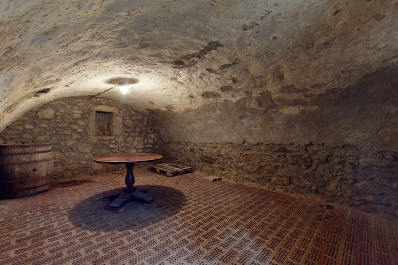 Superbe projet de rénovation, objet rare à Brenles ! (9)
