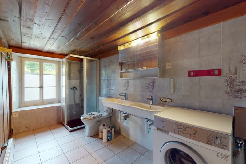 Superbe projet de rénovation, objet rare à Brenles ! (8)