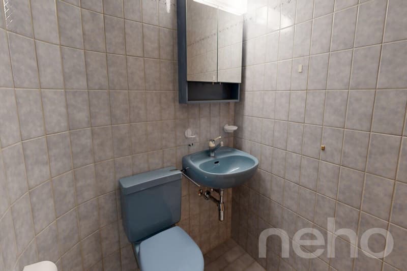 Grosszügige 5-Zimmer-Duplexwohnung mit Bergblick in Visp (12)
