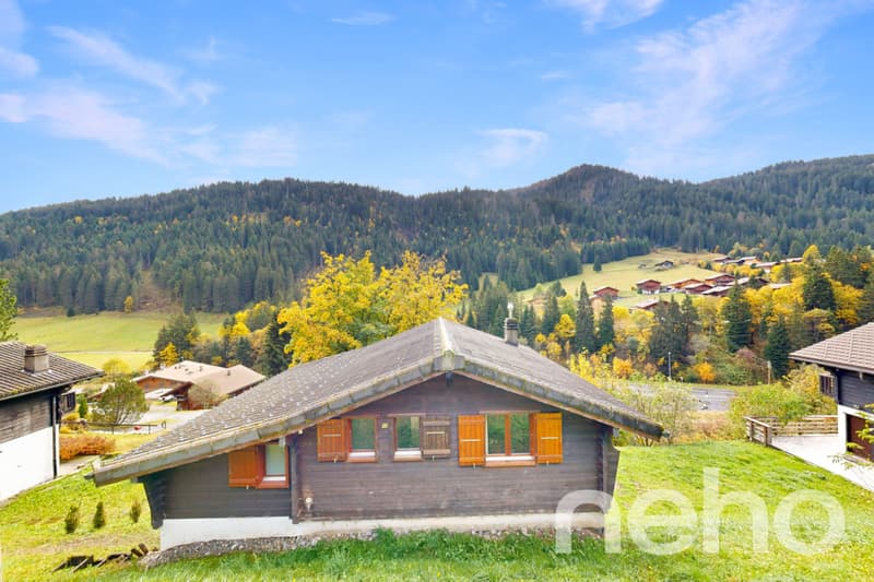 Exclusive: 5-bedroom chalet with a beautiful south-facing orientation (2)