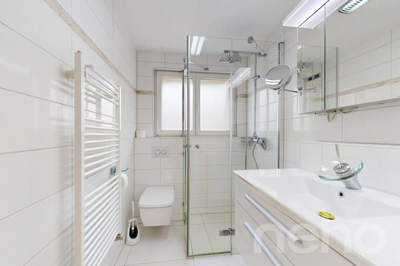 Single-family house with annex apartment in a top location in Kreuzlingen (7)