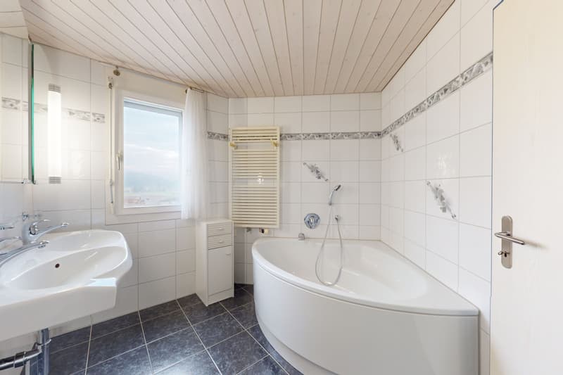 Appartement avec vue fantastique sur les montagnes (10)