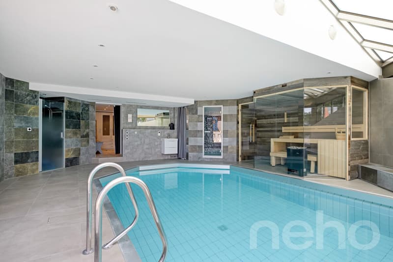 Villa raffinée avec spa privatif proche Lausanne (1)
