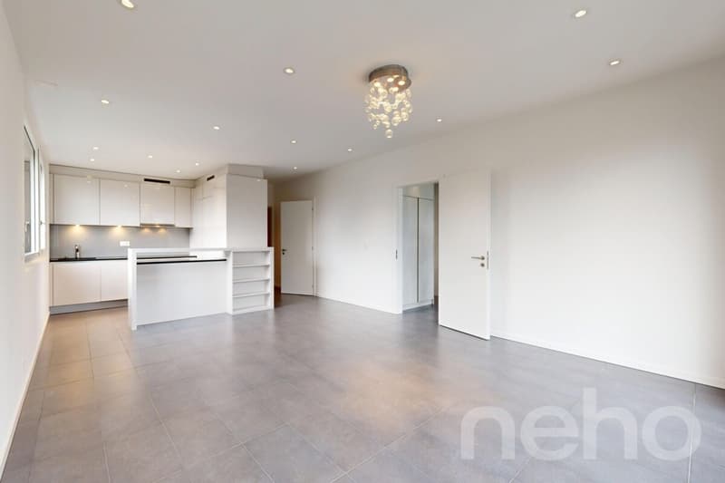 Apartment on the top floor - La Tour de Peilz (2)