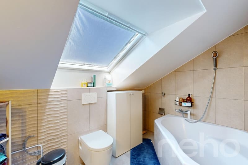 Contemporary attic apartment with large balcony and unobstructed view (12)