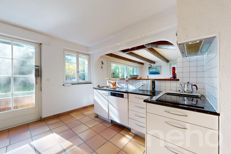 House with character and large garden and beautiful volumes (7)
