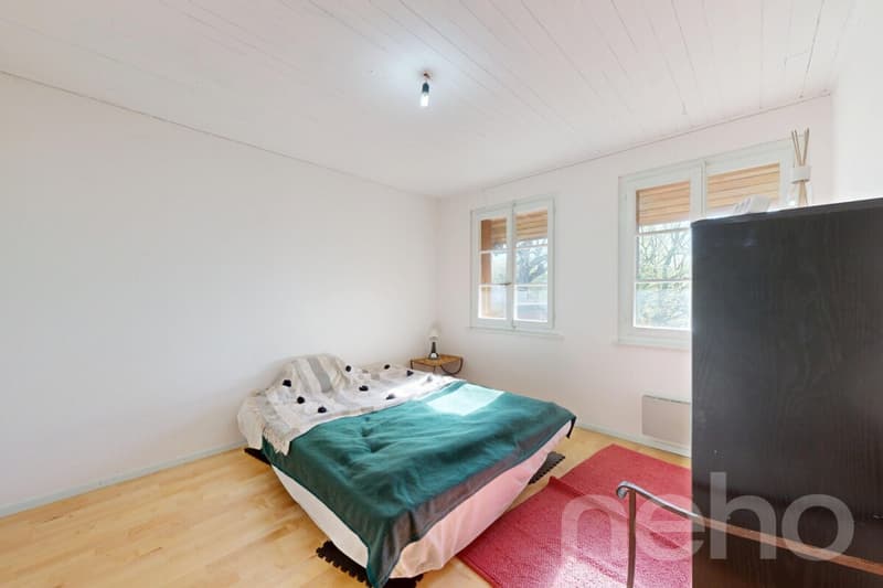 House with character and large garden and beautiful volumes (10)
