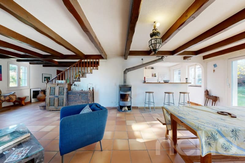 House with character and large garden and beautiful volumes (5)