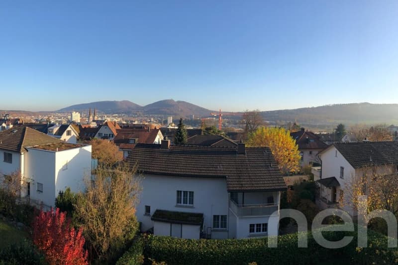 Stylish 9-room house with a view and old-building charm (12)