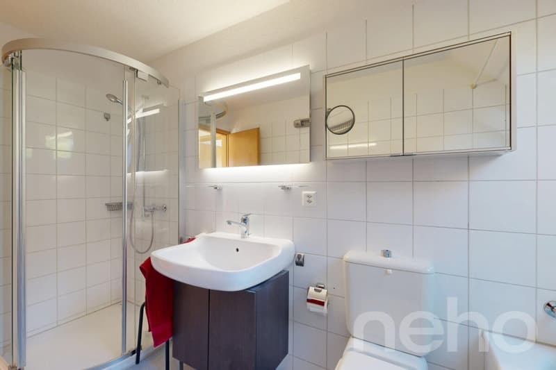 Bright beautiful attic apartment with unobstructable 180-degree lake view (8)