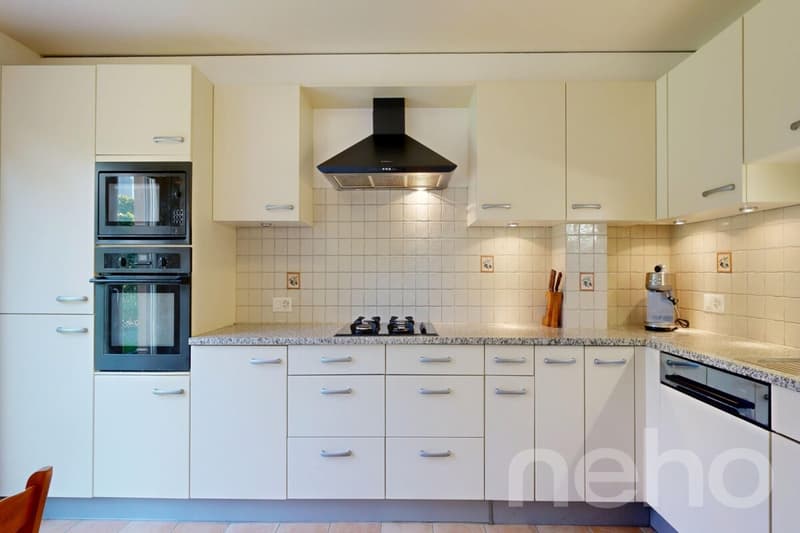 Spacious house with spectacular panoramic views of the lake and the Alps (4)