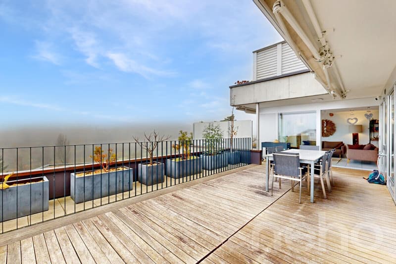 Bright, spacious terrace apartment with Alpine view (10)