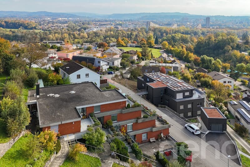 Bright, spacious terrace apartment with Alpine view (11)
