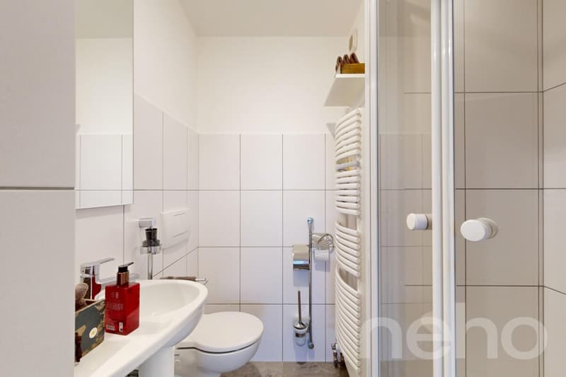 Bright, spacious terrace apartment with Alpine view (9)