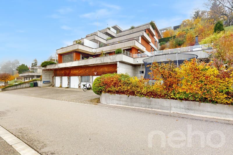 Bright, spacious terrace apartment with Alpine view (12)