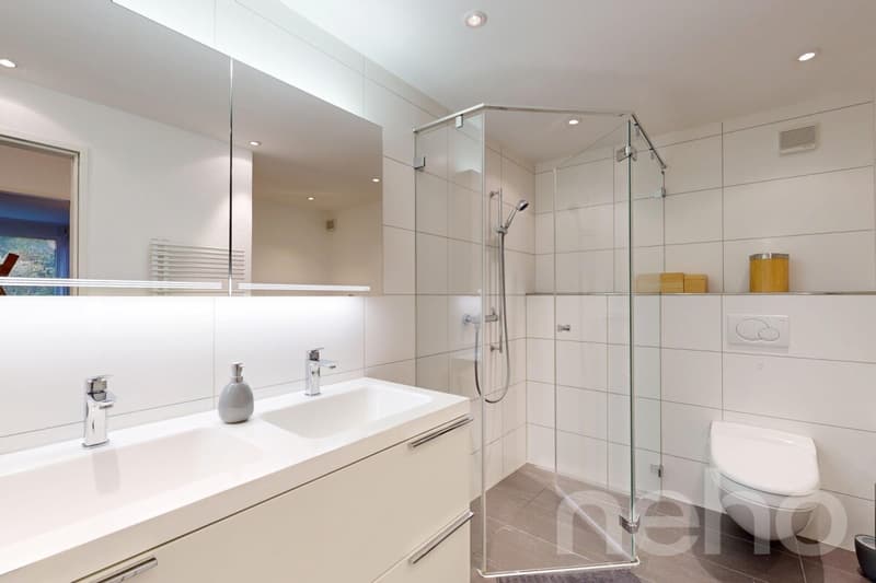 Bright, spacious terrace apartment with Alpine view (8)