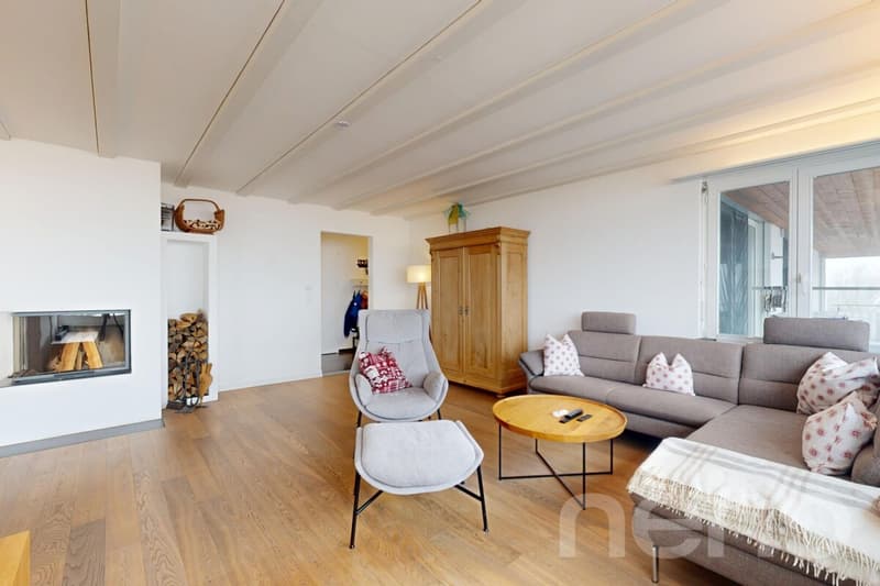 Exclusive 5.5-room apartment in an elevated location with a far-reaching view (2)