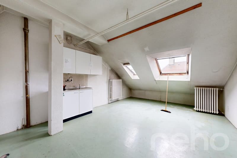 Yield? 400 m² habitable, great potential, ideal location (10)