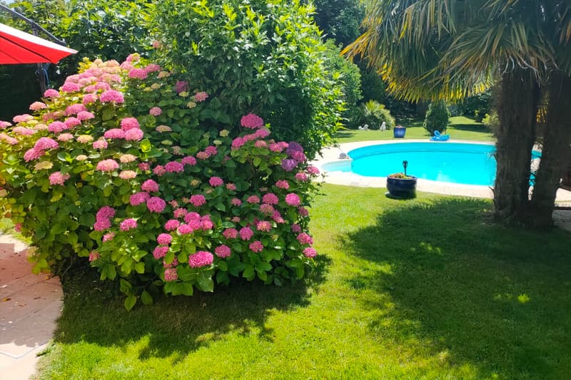 Family home with pool and large south-facing garden (1)