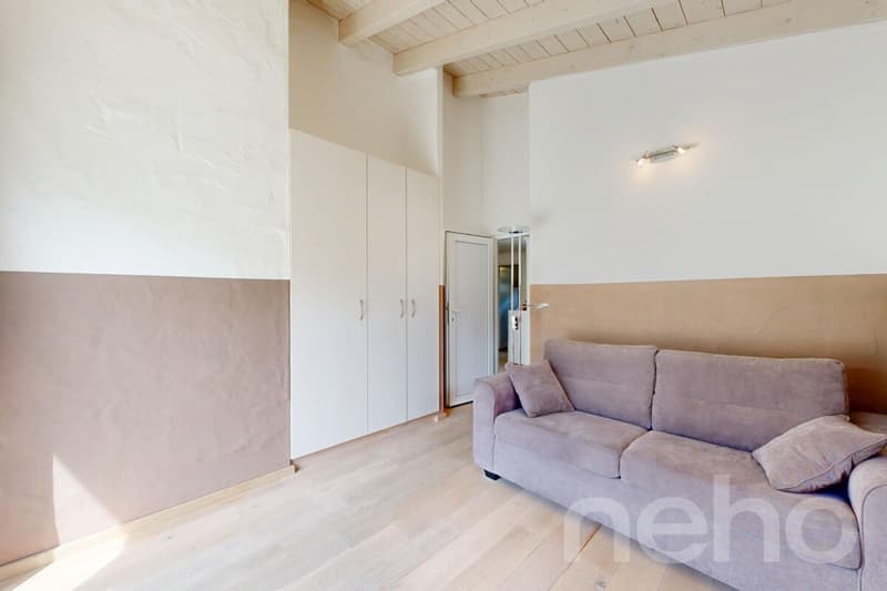 Beautiful Villa 6.5 of 190m² with recent pool and garden (8)