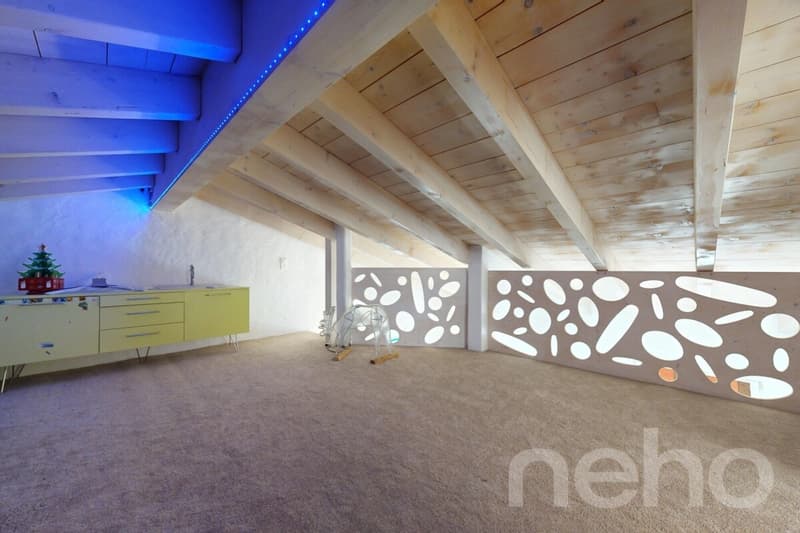 Beautiful Villa 6.5 of 190m² with recent pool and garden (10)