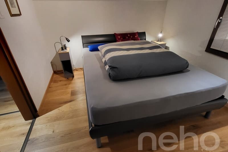 Beautiful chalet and its private studio - Les Giettes (8)