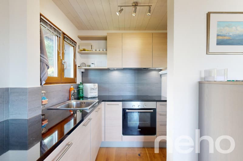 Beautiful chalet and its private studio - Les Giettes (5)