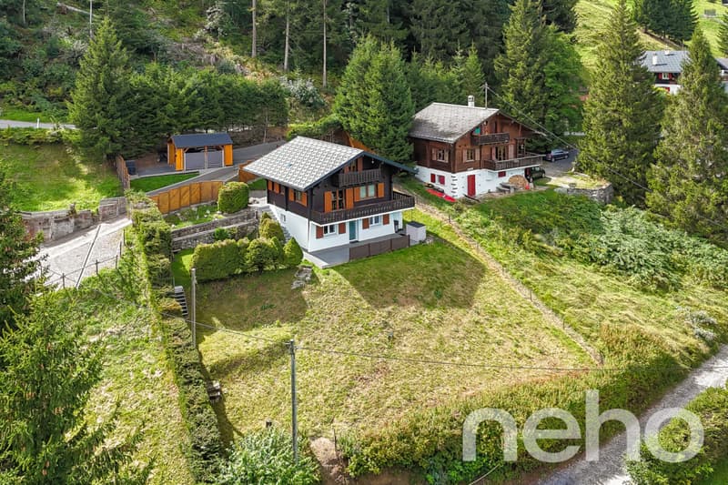 Beautiful chalet and its private studio - Les Giettes (2)