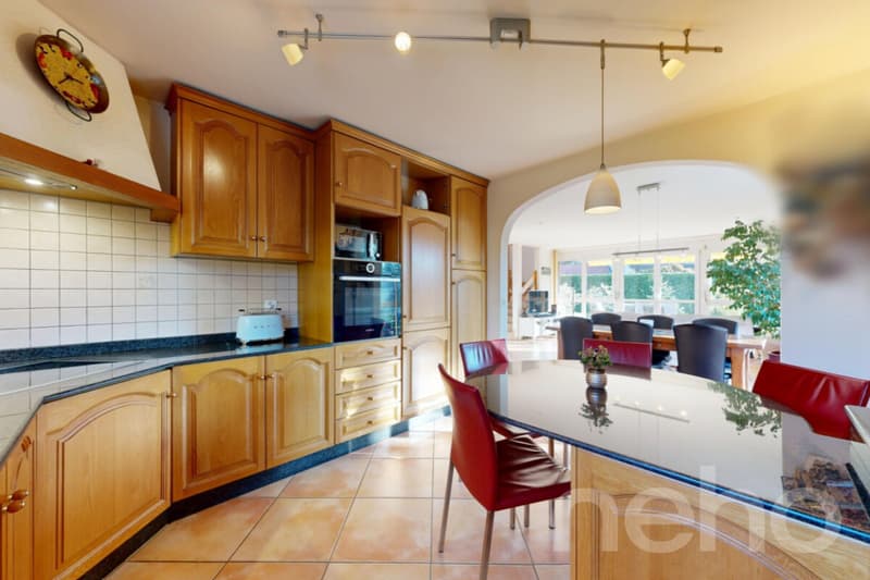 Beautiful family villa with tree-lined garden and independent studio (4)