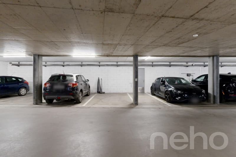 Beautiful 3.5-room apartment on the top floor in Sion with large terrace (12)