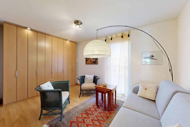 Beautiful 4.5-room apartment with terrace (8)