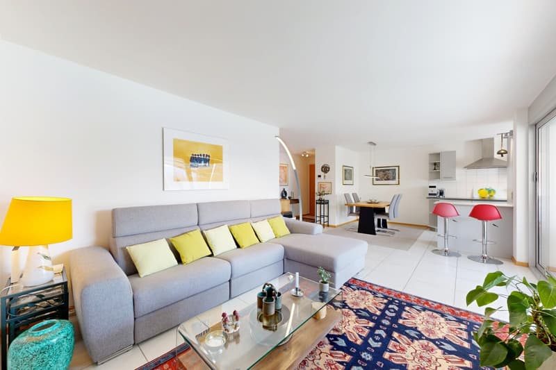 Beautiful 4.5-room apartment with terrace (2)