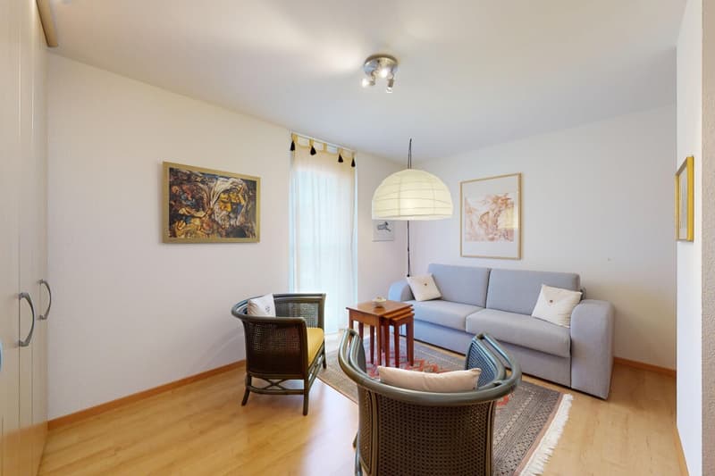 Beautiful 4.5-room apartment with terrace (7)