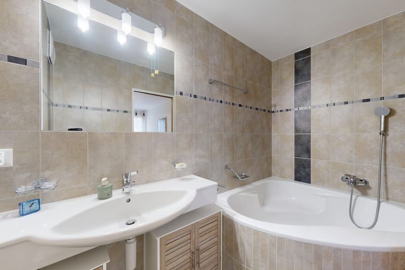 Beautiful 4.5-room apartment with terrace (11)