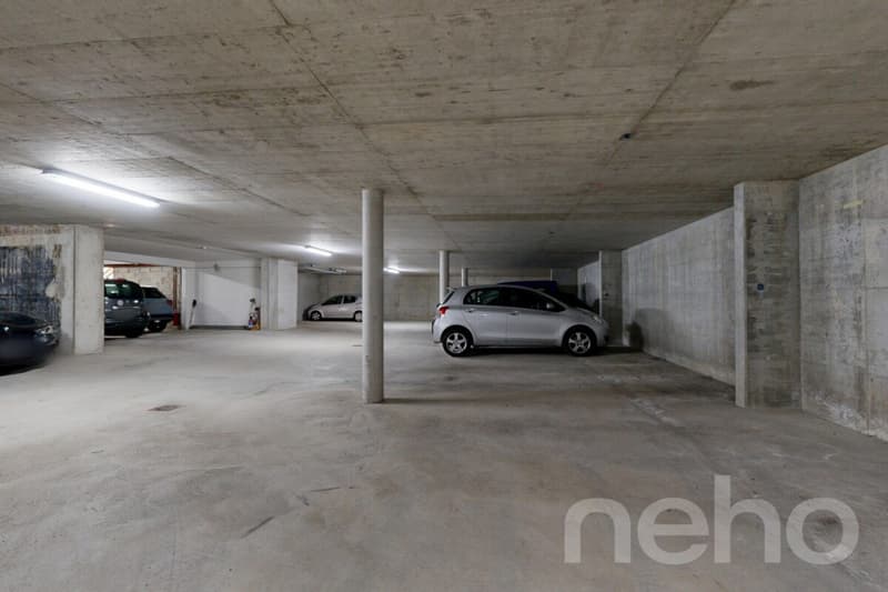 Le Pont: Property on the quays with garden and underground parking (11)