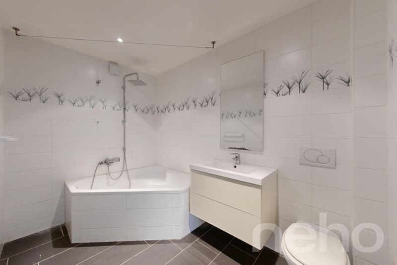 Charming house with two apartments! (5)