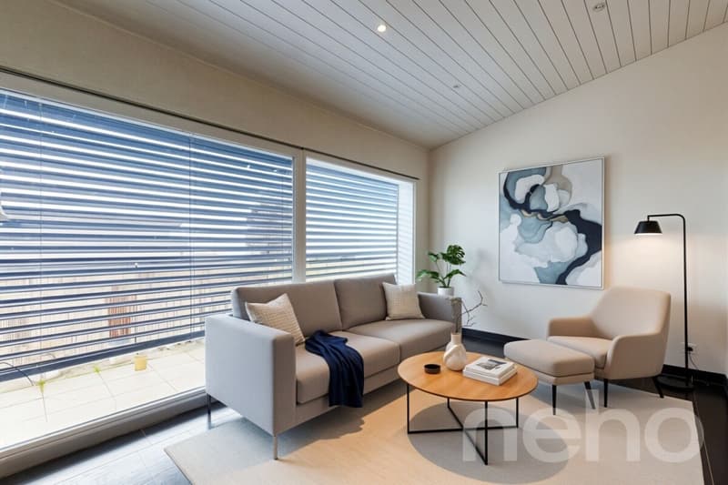 Charming house with two apartments! (7)