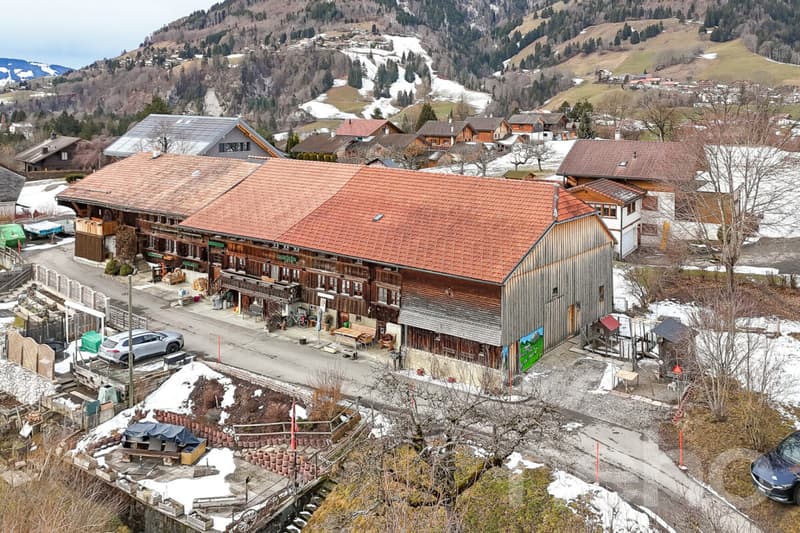 An atypical farm to reinvent, in the heart of Gruyère (4)