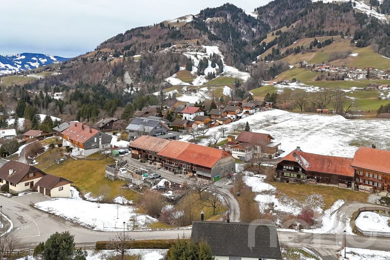An atypical farm to reinvent, in the heart of Gruyère (5)