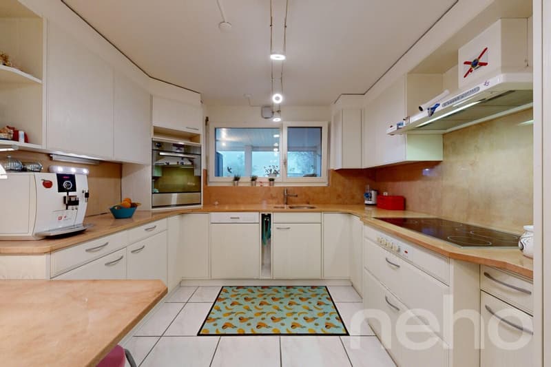 Appartement terrasse spacieux 4.5 pièces avec ascenseur et serre (4)