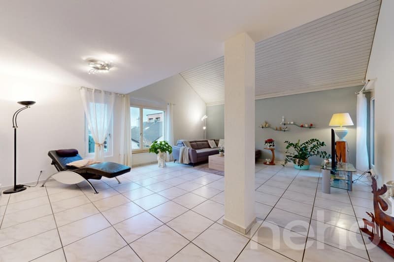 Appartement terrasse spacieux 4.5 pièces avec ascenseur et serre (2)