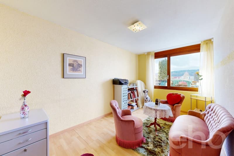 Appartement terrasse spacieux 4.5 pièces avec ascenseur et serre (7)