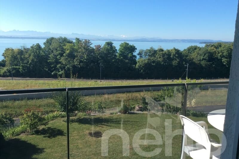 This beautiful house with a lake view! (3)